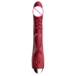 Juguete Sexual de Doble Vibración para Estimulación del Punto G y Clítoris, Recargable por USB, Resistente al Agua, 10 Frecuencias de Vibración, Masajeador - Product Image 3