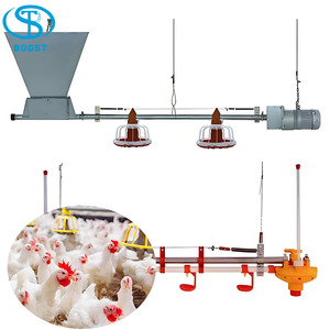 Gallinero de Acero Estilo Rústico para Cría de Pollos de Engorde en Granjas, Venta Caliente, 10000 Aves - Product Image 6