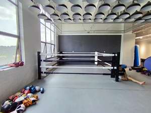 Bagues <span class=keywords><strong>de</strong></span> lutte d'arrière-cour à vendre, anneau <span class=keywords><strong>de</strong></span> boxe Pro <span class=keywords><strong>de</strong></span> 14 pieds - Product Image 3