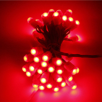 Miracle Bean SMD Pixel LED Monochrome Étanche IP67 9mm 12V