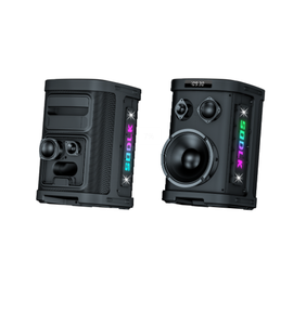 Big Party Box Speaker 8 Inch Subwoofer LED Outdoor Dj Powerful Boombox Bluetooth 500W Party Speakers with Wireless Mic - Product Image 2