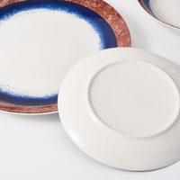 Vente en gros d'assiettes en céramique écologiques de style japonais, ensembles de vaisselle, ustensiles en porcelaine au design classique pour la maison, hôtels, camping