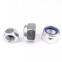 M2 M2.5 M3 M3.5 M4 M5 M6 M8 M10 M12 M16 304 acier inoxydable hexagone hexagone Nylon Insert autobloquant écrou Nylock écrou Locknu