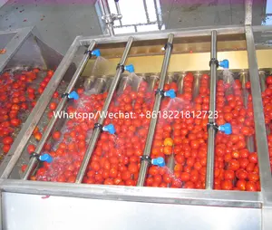 Linea di produzione del concentrato di pomodoro, linea di produzione della salsa di pomodoro del peperoncino rosso, prezzo della macchina per la lavorazione del concentrato di pomodoro della papaya del mango