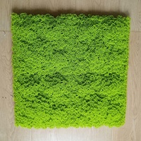 Panneau mural végétal artificiel en plastique multi-usage, résistant aux intempéries, pour décoration commerciale, résidentielle et d'anniversaire