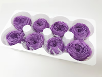Rose stabilisée violette naturelle, fleur éternelle longue durée pour décoration DIY de la maison