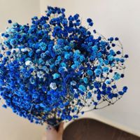 Yopin-2226 Groothandel Gedroogde Gypsophila Bloemen Bruiloft Geconserveerde Baby Adem Bloem
