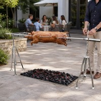 Barbecue à charbon de bois en acier inoxydable pour l'extérieur, moteur électrique rechargeable, grill à rôtir à la broche de camping pour agneau
