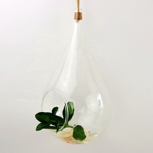 Globe <span class=keywords><strong>en</strong></span> <span class=keywords><strong>verre</strong></span> suspendu transparent <span class=keywords><strong>en</strong></span> forme de larme, terrarium, vase <span class=keywords><strong>à</strong></span> fleurs avec fond plat <span class=keywords><strong>pour</strong></span> plantes succulentes et plantes aériennes - Product Image 1