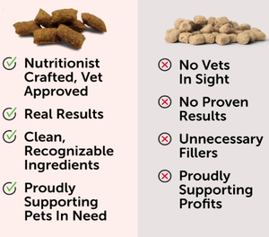 Golosinas calmantes para mascotas en OEM/ODM con L-teanina para relajación y calma mientras mastica rellenos para gatos - Product Image 4