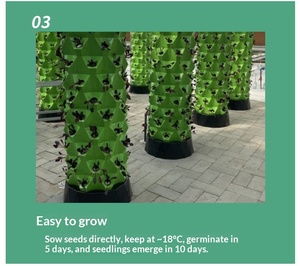 Tour d'<span class=keywords><strong>ananas</strong></span> hydroponique : Nouvelle culture hors-sol épaissie, design minimaliste, support de serre, application OEM utilisée - Product Image 4