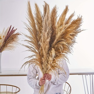 Approvisionnement direct usine : Grand <span class=keywords><strong>bouquet</strong></span> <span class=keywords><strong>de</strong></span> pampas artificiel en soie, herbe <span class=keywords><strong>de</strong></span> la pampa séchée naturelle, 60 cm, blanche, longue, fleur naturelle séchée - Product Image 5