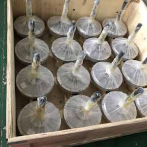 Alternateur à rotor interne magnétique sans noyau à disque triphasé 20kW 10kW 5kW 2kW 96V 110V 220V 240V 380V pour éolienne - Product Image 1