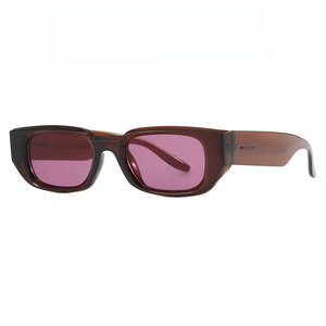 Trendy kleine rechthoekige vintage plastic zonnebrillen met zwart montuur, op maat gemaakte logo's, groothandel voor dames en heren, vierkante zonnebrillen - Product Image 4