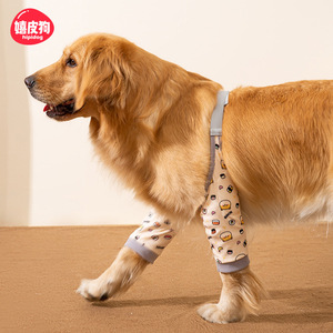 Protector de Codos para Perros Hippidog, para Razas Grandes, Protección de Articulaciones, Uso en las Cuatro Estaciones - Product Image 3