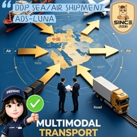 Expédition Express Fiable DDP DDU FCL LCL de Chine vers la Palestine avec Transit en 1-2 Jours et Assurance – Transitaire Logistique
