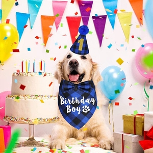X3025 Pet Dog Birthday Party Supplies for <strong>Halloween</strong> and Graduation Pawty Paper String Banner Balloon Decorations - Product Image 5