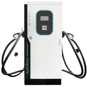 Commercial Wholesale Business Use 30kw 40kw 80kw 100kw 120kw Ev Dc Fast Electric Vehicle Charging Station Commercial For Electric Cars