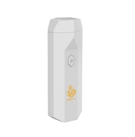 Brûleur d'encens électrique 3 couleurs personnalisable Chargement USB Bukhoor Oud Diffuseur pour cheveux
