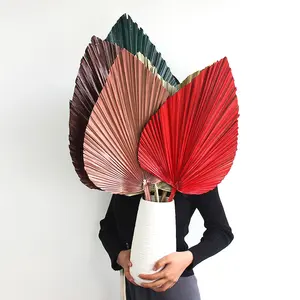 UO Wholesale Foliage Dried Flower Dry Real Palm Leaf Fan Tropical Palm Leaf Dyeing Red White Big Palm Leave