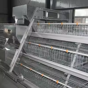Chất Lượng Cao Bán Nóng Mạ Kẽm Gà Coop Cho Ăn Tự Động Thiết Bị Một Loại Ba Hai Hai Pin Thép Lồng Cho Gà Đẻ - Product Image 3