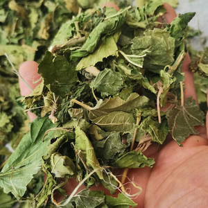 Hojas de Morus <span class=keywords><strong>Alba</strong></span> (Murier Blanc) Secas Naturales Puras en Trozos para la Venta - Product Image 3