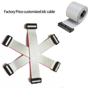 Güç Kaynağı Sistemi için Özel 2-20 Pin 1.27mm Pitch IDC Düz Şerit Kablo Demeti - Product Image 4