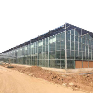 Broeikas Voor Plantaardige Productie Polyethyleen Kas 200 Micron Kas - Product Image 1