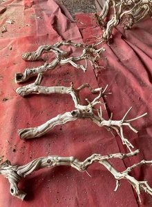 Ramo di <span class=keywords><strong>Legno</strong></span> Essiccato Fatto a Mano per Albero Decorativo Simulato, per Decorazioni di Matrimoni, Case e Hotel, Pianta Artificiale da Interno - Product Image 4