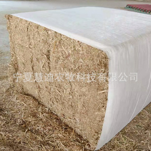 Paca de Forraje de Tallos de Maíz, Alimento Desmenuzado para Ganado Vacuno, Ovino y Equino, Suministro Directo de Origen - Product Image 3