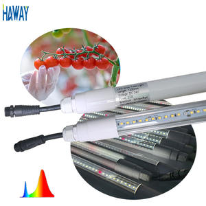 Venda quente 4ft Full Spectrum 20W DC24V T8 impermeável ao ar livre LED crescente planta tubo luz para estufa hidropônica horticultura - Product Image 3