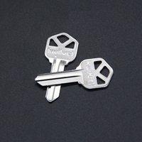Nouvelle Arrivée - Clé Vierge pour Voiture - Design Récent - Vente Flash Spéciale