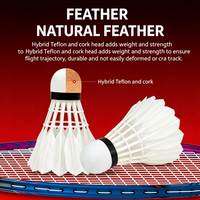 Volants de badminton professionnels hybrides en plumes de canard de classe A, à tête en liège, haute élasticité, écologiques et durables, pour l'entraînement