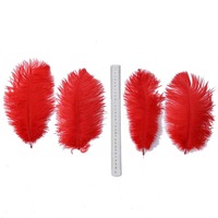 Lot de 50 plumes d'autruche blanches avec plume fine pour arrangement floral, décoration de maison, fête, mariage