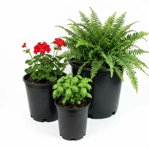 Macetas Negras de Plástico Reciclado Ecológicas de un Galón, de Fabricante Verificado, para Viveros Comerciales y Paisajismo B2B - Product Image 1