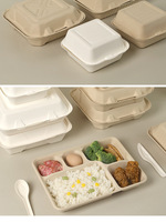 Envases de Alimentos Desechables Biodegradables y Compostables con Logotipo Personalizado, Aptos para Microondas, con Tapa, de Pulpa de Fibra de Caña de Azúcar