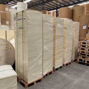 Feuille de papier kraft enduit PE/PLA biodégradable pour gobelets, feuille recyclable pour gobelets à café - Product Image 5