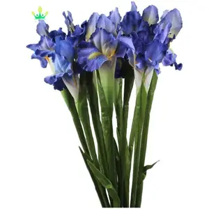 Iris artificiel fleur soie vraie touche longues tiges irlande irlandais pour la décoration de mariage maison Arrangements floraux décoration