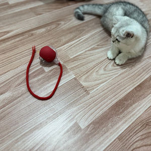 2025 sıcak satış hareketli elektrikli kedi topları mutlu interaktif Speedy kuyruk kedi oyuncak top Pet interaktif hareket oyuncaklar - Product Image 4