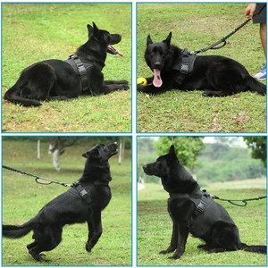 Chaleco Táctico para Perro con Correa para el Pecho, de Nailon Impermeable, para Entrenamiento en Todas las Estaciones - Product Image 4