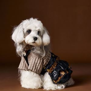 <span class=keywords><strong>2026</strong></span> Sonbahar Kış Modası Köpek Evcil Hayvanı Yakışıklı Deri Etek Elbise - Product Image 3