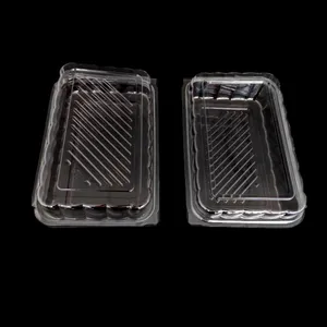 Boîte à pâtisserie jetable biodégradable pour animaux de compagnie, récipient à emporter pour aliments, boîte transparente pour emballage de viande