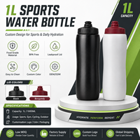 Bouteille d'eau de sport 1000 ml en gros, OEM ODM, couleur personnalisée, pour la gym et le cyclisme