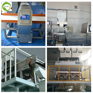 Semillas de Calabaza Secas Crudas de Nueva Cosecha al Mejor Precio, Venta al por Mayor - Product Image 5