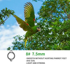 Nieuwe Gesneden Vogels Ringen Roestvrijstalen Metalen Aluminium Accessoire Voor Papegaaien Outdoor Vliegtraining Activiteit Opening Clip - Product Image 5