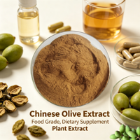 Natuurlijk Chinees Wit Olijf Extract Poeder Fructus Canarli Extract Poeder 10:1 TLC