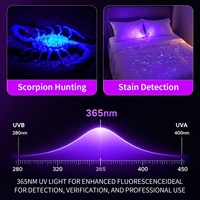 Lampe torche UV haute puissance 365 nm avec filtre en verre noir, lumière noire UV pure pour la détection de fuites NDT, la vérification de la fausse facture, du jade et de l'ambre
