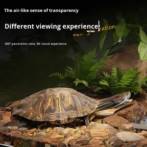 Piattaforma di Esposizione a Gancio <span class=keywords><strong>per</strong></span> <span class=keywords><strong>Tartarughe</strong></span>, Specifica <span class=keywords><strong>per</strong></span> Acque Profonde, in PC, <span class=keywords><strong>per</strong></span> <span class=keywords><strong>Tartarughe</strong></span> Brasiliane - Product Image 2