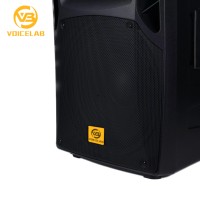 2023 15 pouces PXD15-DM400X haut-parleur système audio professionnel pour l'extérieur