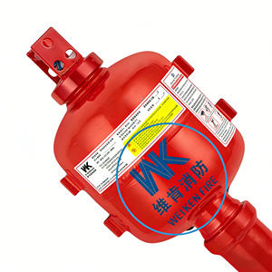 Extintor de Incêndio Automático de Pó Seco em Aço, Modelo de Mangueira de Incêndio Suspensa, Tamanho Personalizável para Produtos Químicos Perigosos - Product Image 2